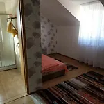 Pensiunea Vladut Timisoara