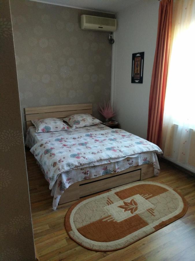 Pensiunea Vladut Pensiune Timişoara
