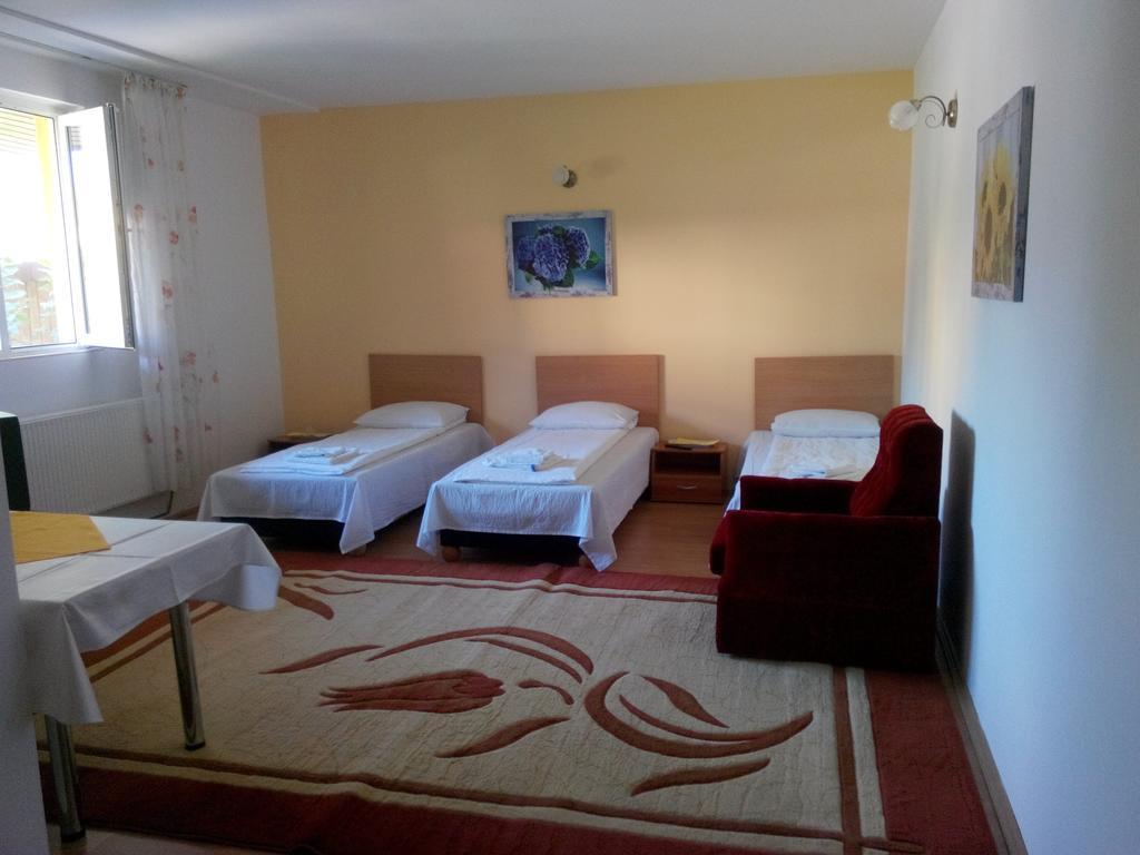 Pensiunea Vladut Gasthof *